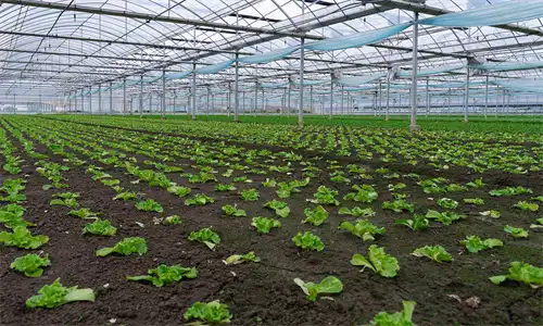 productcate-1-2 productcate-1-2