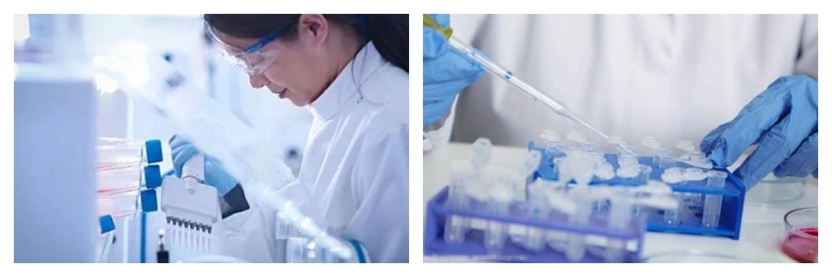 pwodwi-1-1 pwodwi-1-1