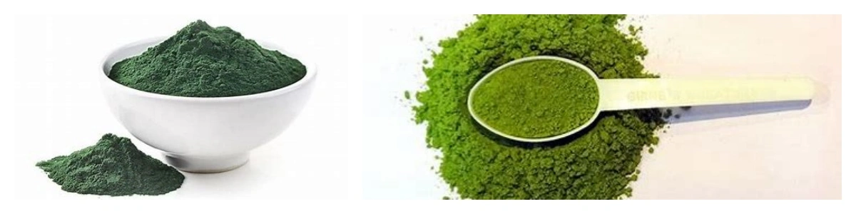 blog-1-1 product-1-1