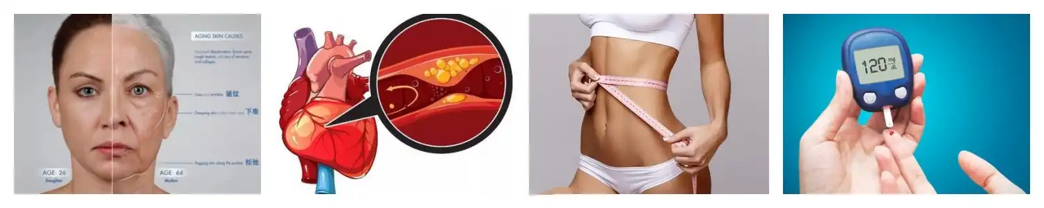 product-1-1 product-1-1