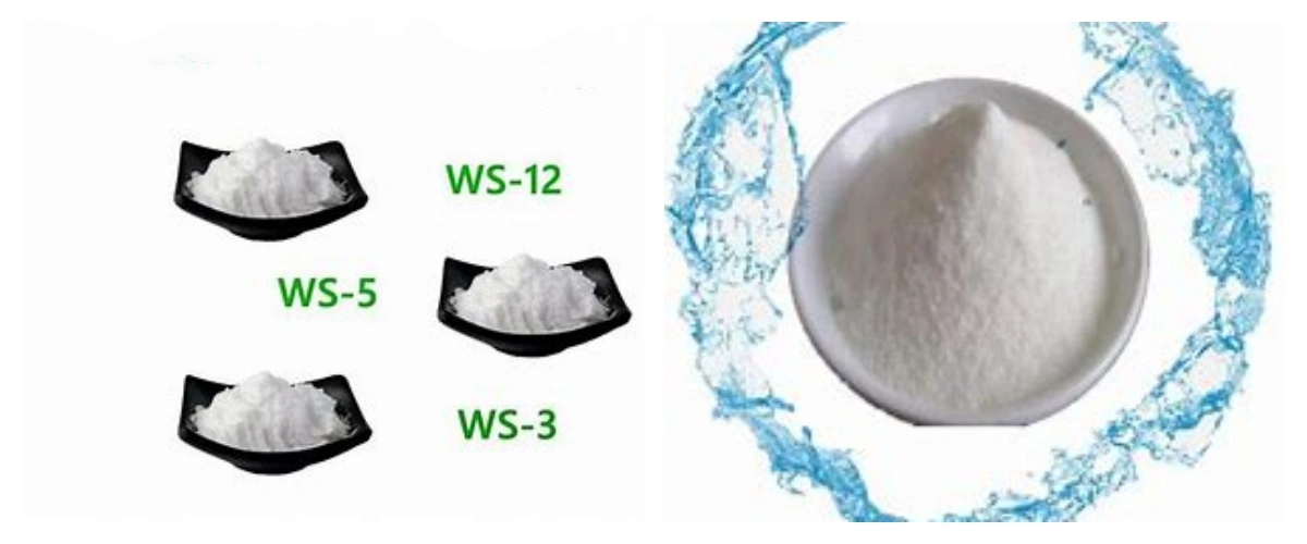 blog-1-1 product-1-1