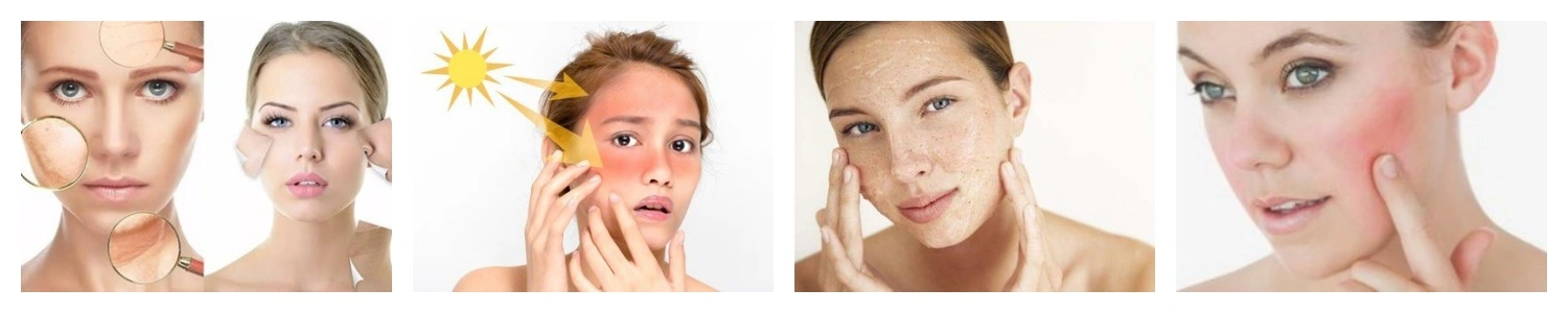 product-1-1 product-1-1