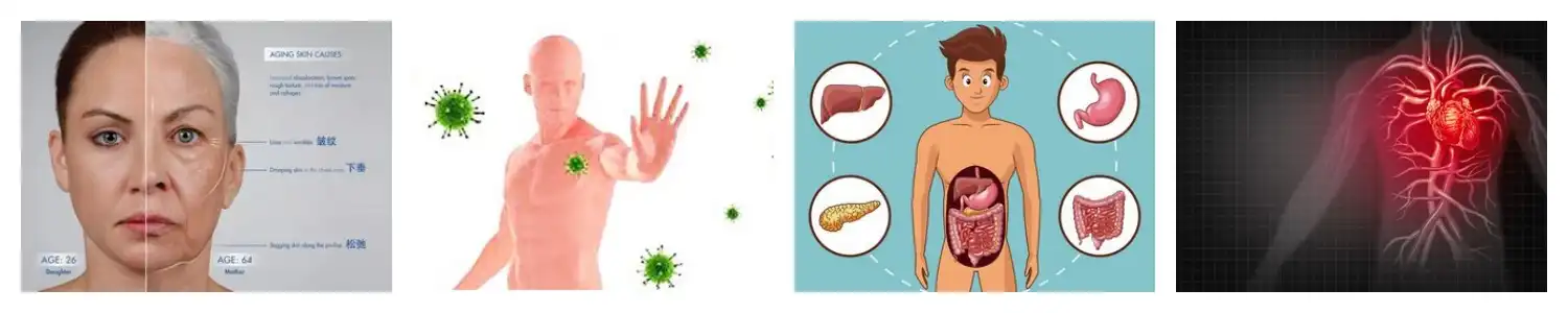 product-1-1 product-1-1