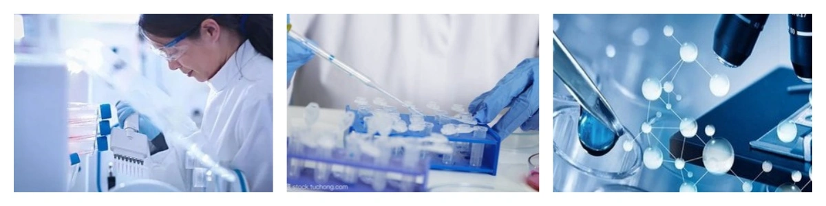 pwodwi-1-1 pwodwi-1-1