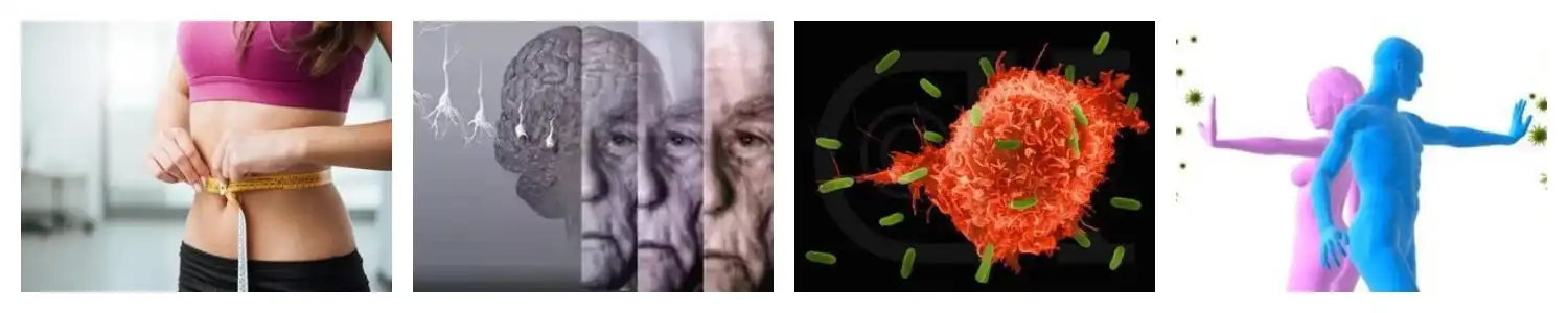 pwodwi-1-1 pwodwi-1-1