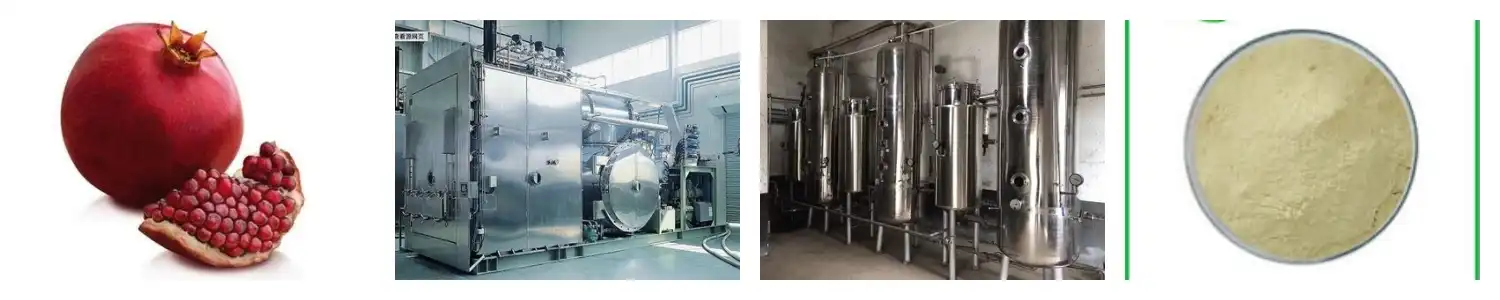 pwodwi-1-1 pwodwi-1-1