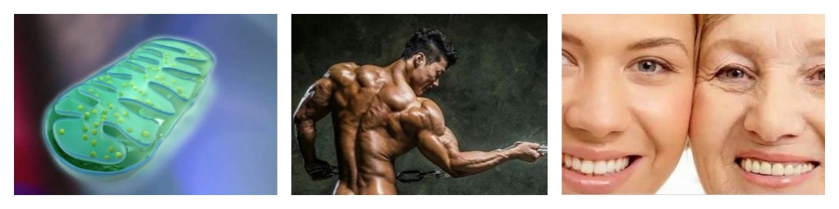 product-1-1 product-1-1