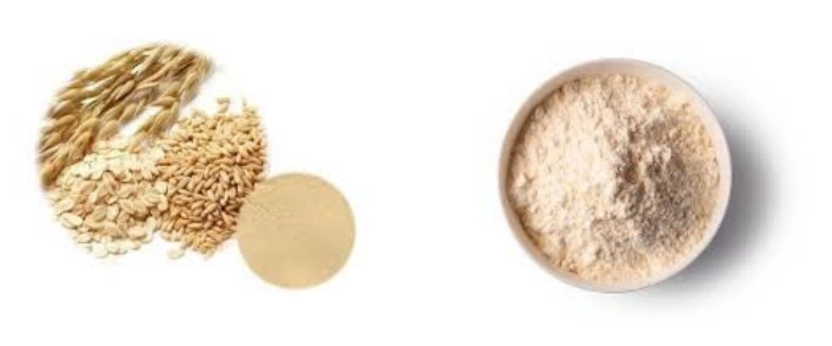 blog-1-1 product-1-1