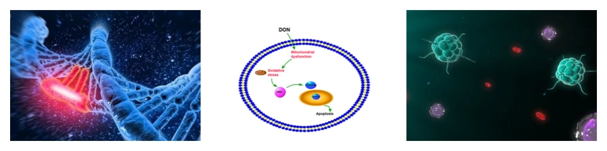 product-1-1 product-1-1