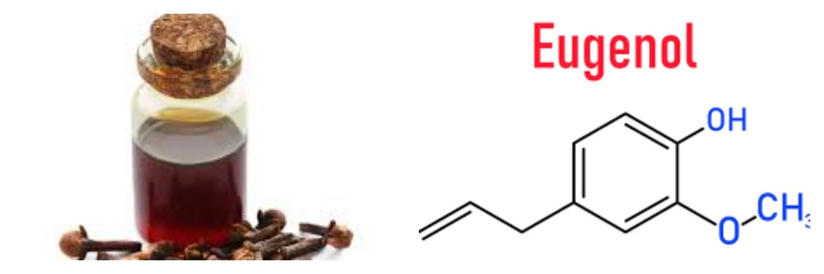 product-1-1 product-1-1