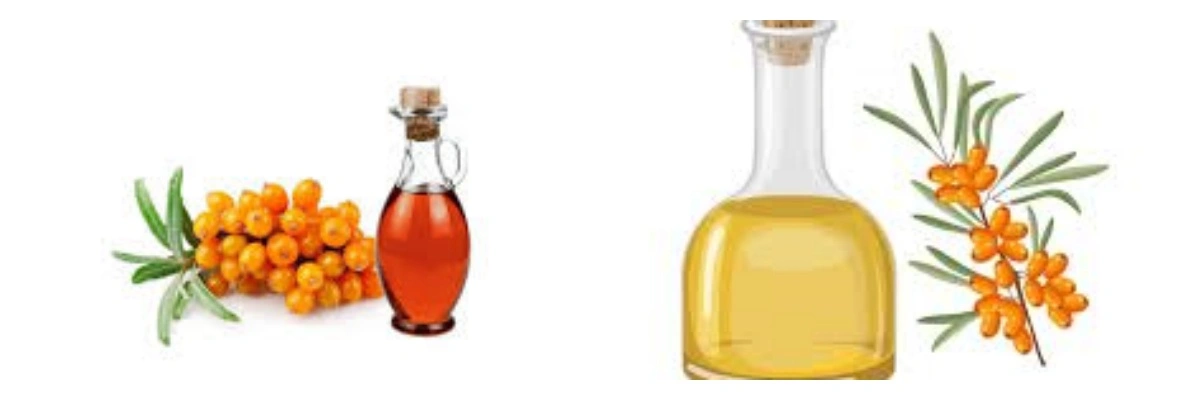 product-1-1 product-1-1