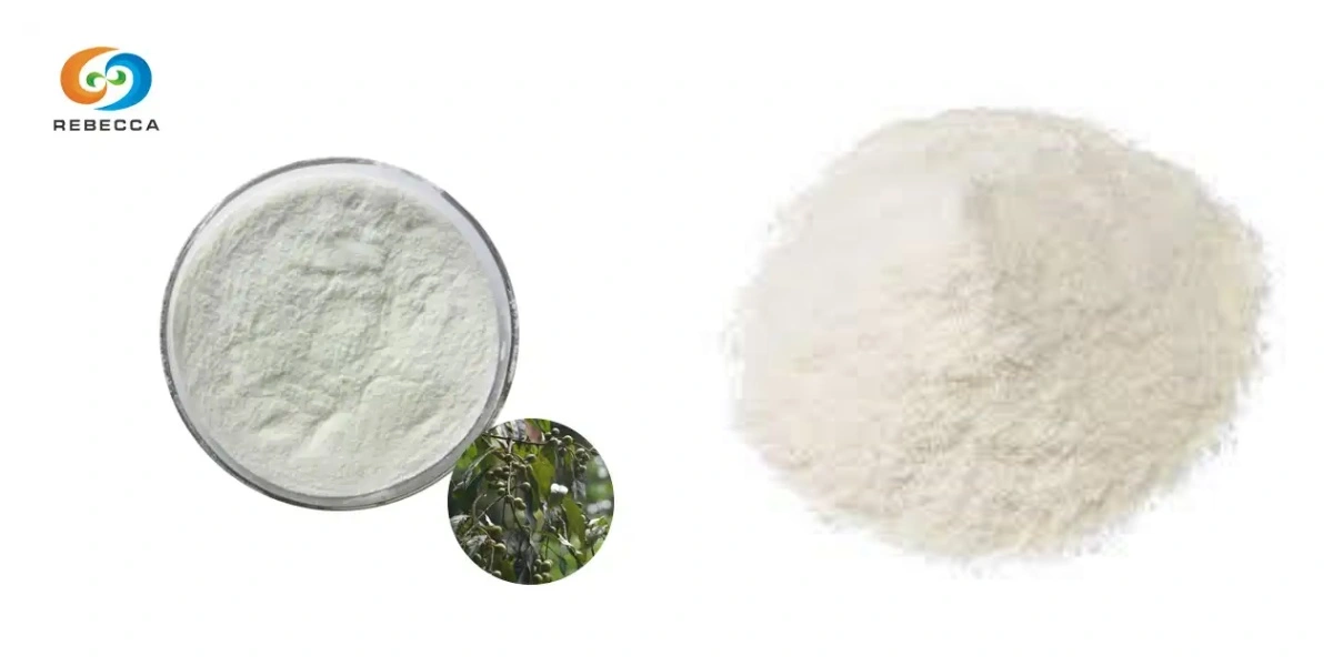 blog-1-1 product-1-1