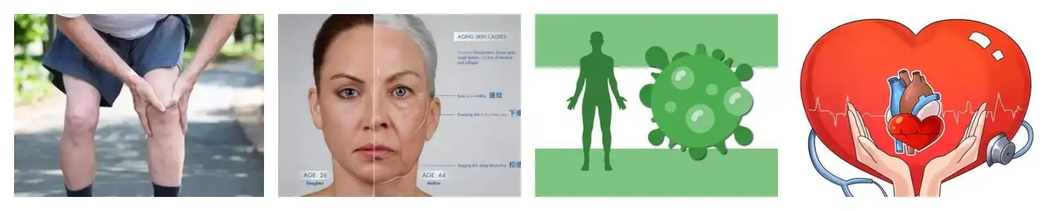 product-1-1 product-1-1