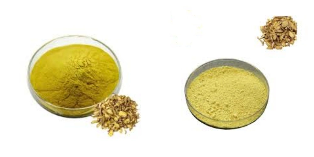 blog-1-1 product-1-1