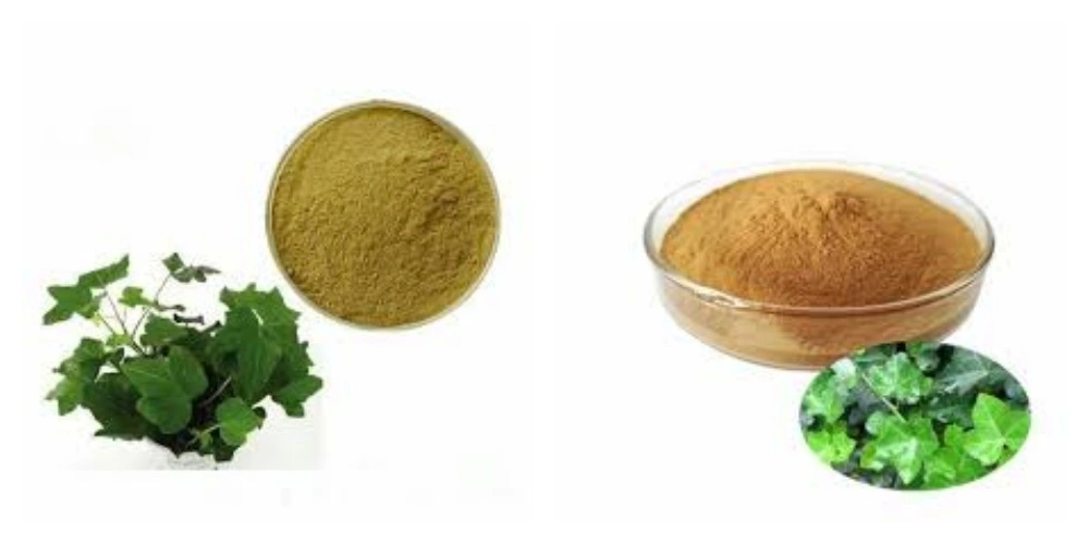 blog-1-1 product-1-1