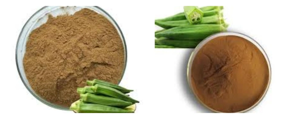 pwodwi-1-1 pwodwi-1-1