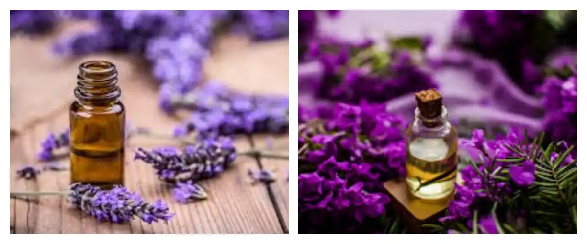 blog-1-1 product-1-1