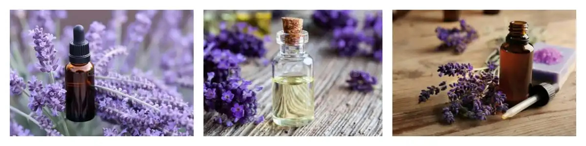 product-1-1 product-1-1