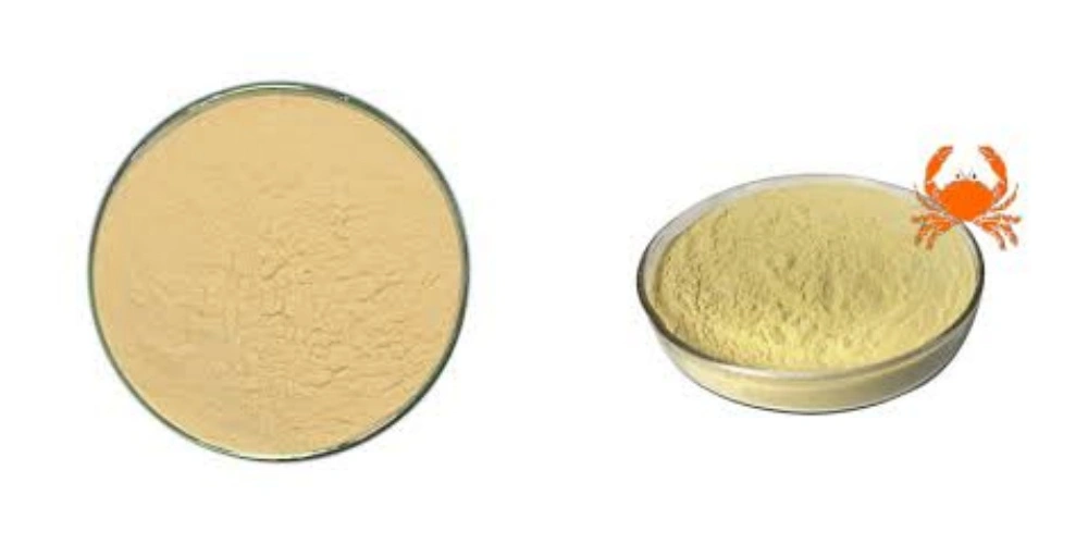 product-1-1 product-1-1