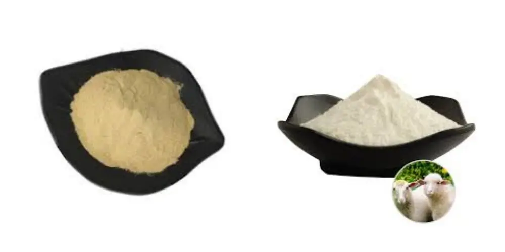 product-1-1 product-1-1