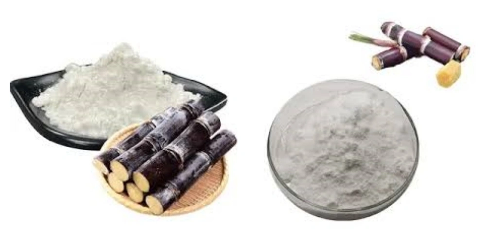 blog-1-1 product-1-1