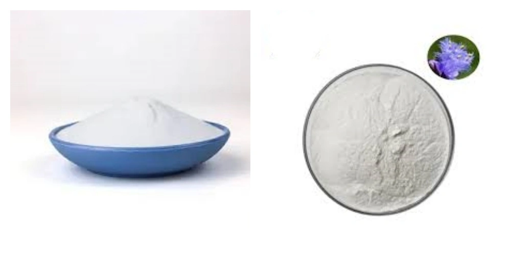 blog-1-1 product-1-1