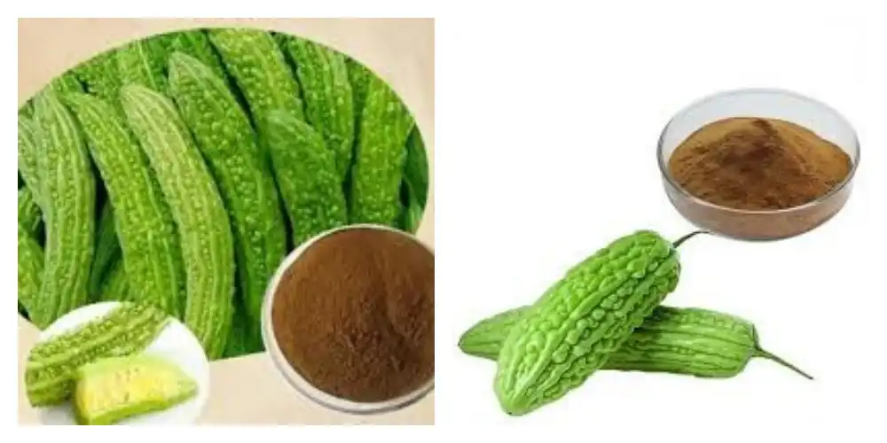 product-1-1 product-1-1