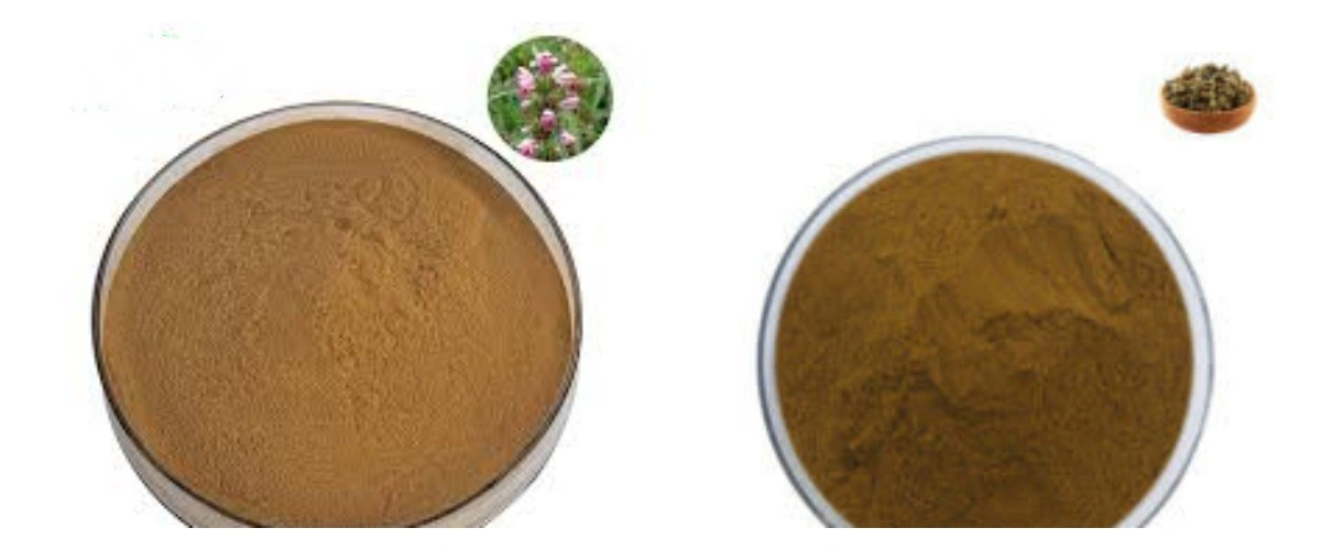 product-1-1 product-1-1