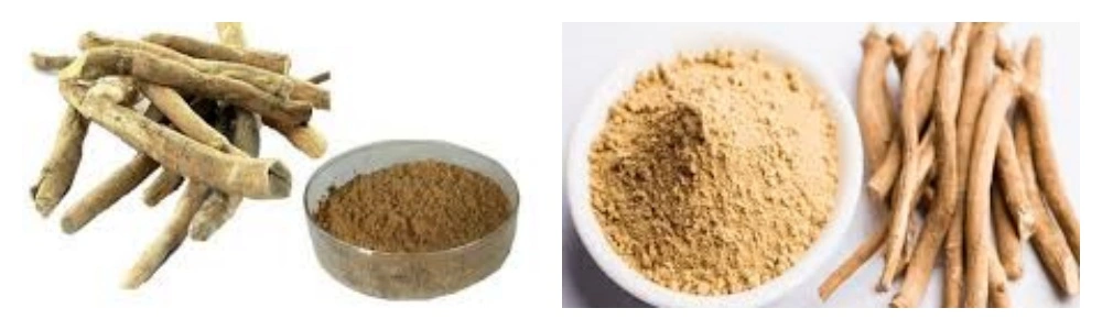 blog-1-1 product-1-1