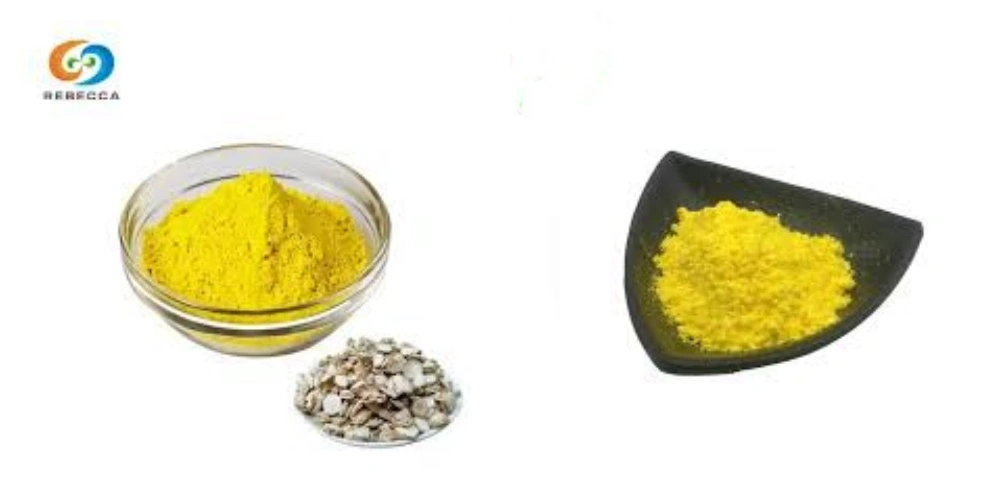 blog-1-1 product-1-1