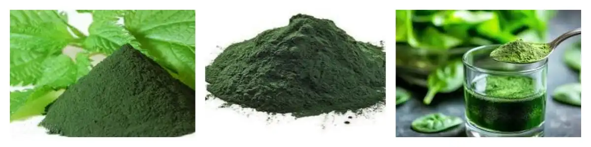 blog-1-1 product-1-1