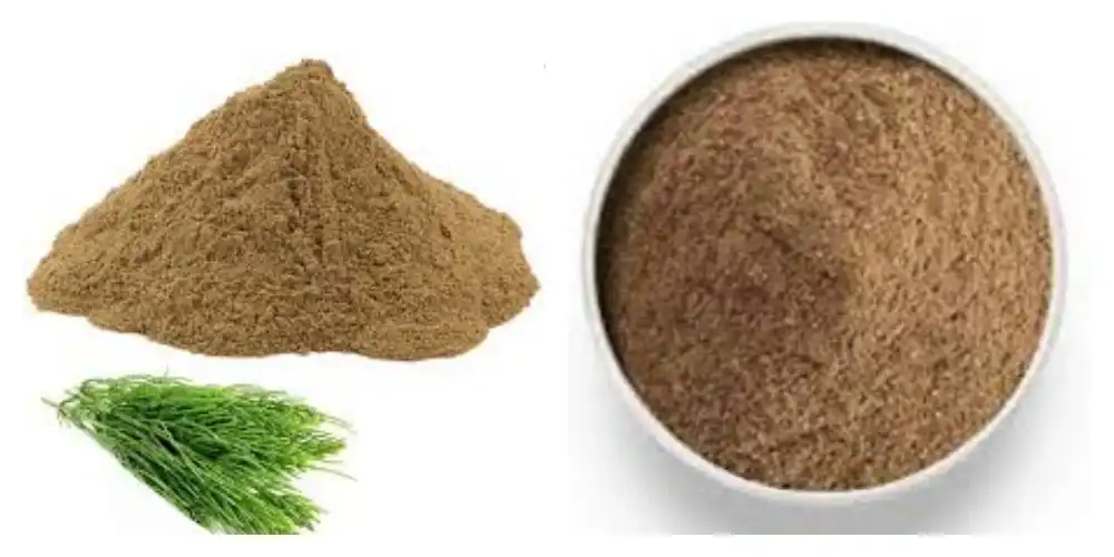 blog-1-1 product-1-1