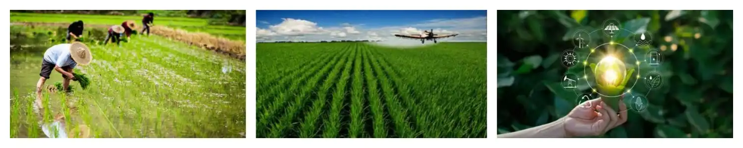 product-1-1 product-1-1