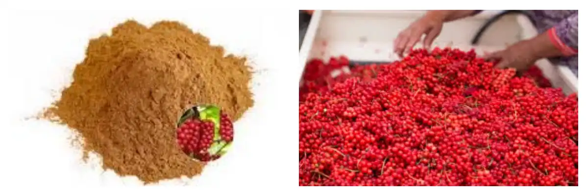 blog-1-1 product-1-1