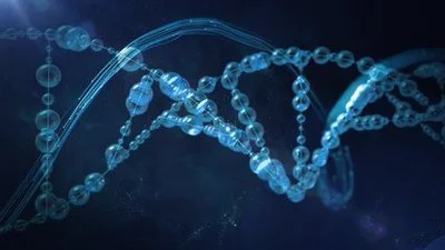 product-400-225 product-400-225