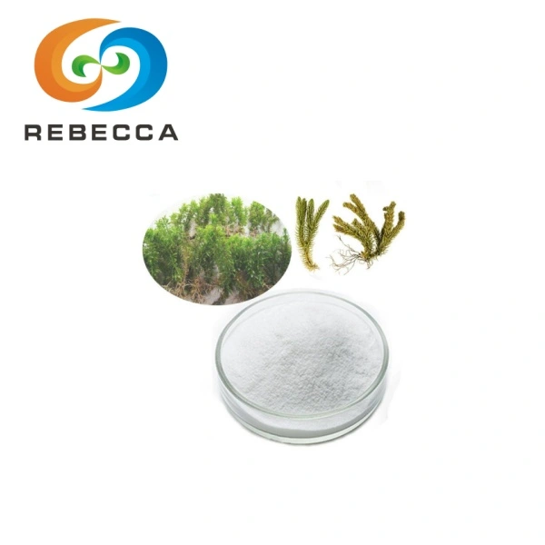 pwodwi-1-1 pwodwi-1-1