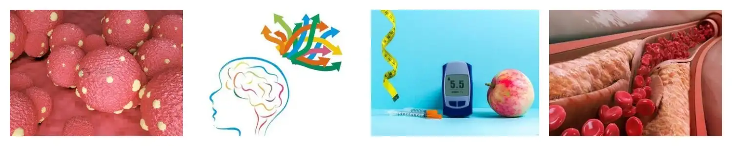 product-1-1 product-1-1