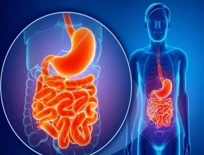 blog-400-304 blog-400-304