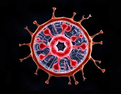 blog-400-311 blog-400-311