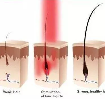 blog-371-349 blog-371-349