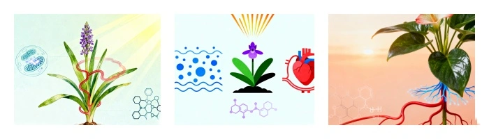 product-1-1 product-1-1