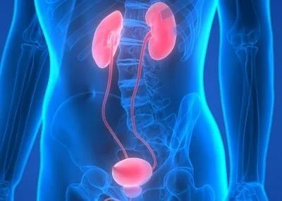 blog-400-286 blog-400-286