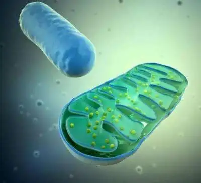 blog-400-364 blog-400-364