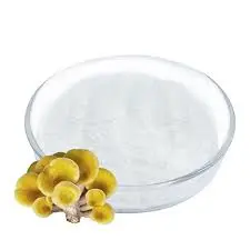 blog-225-225 blog-225-225