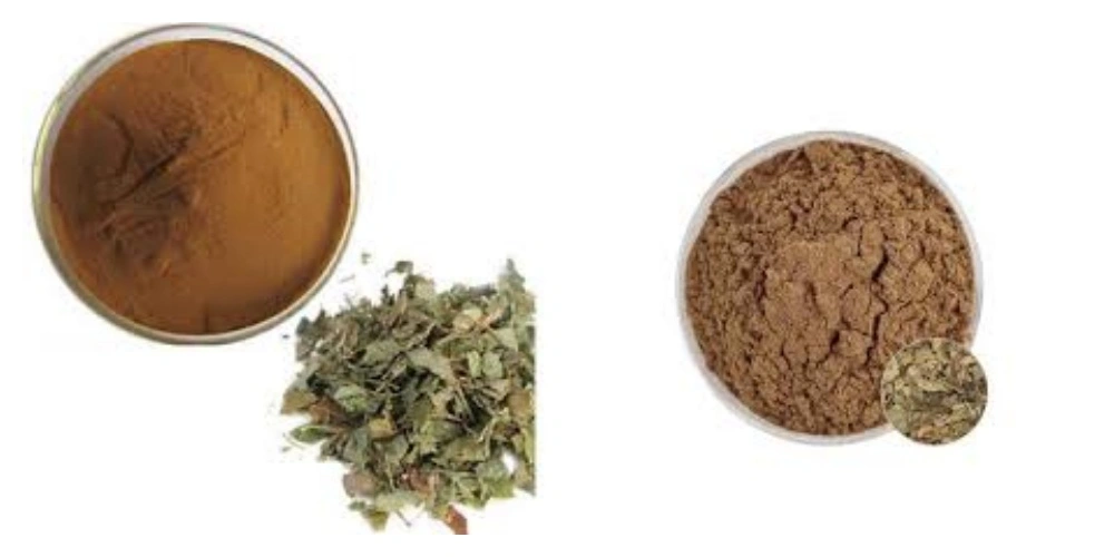 blog-1-1 product-1-1