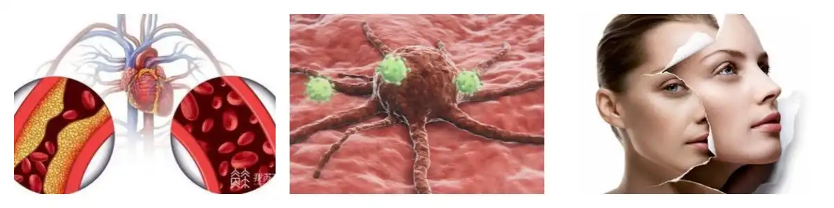 product-1-1 product-1-1