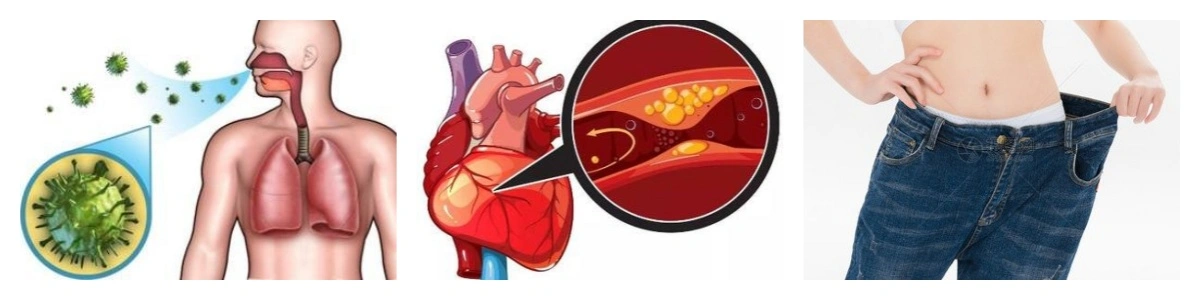 product-1-1 product-1-1