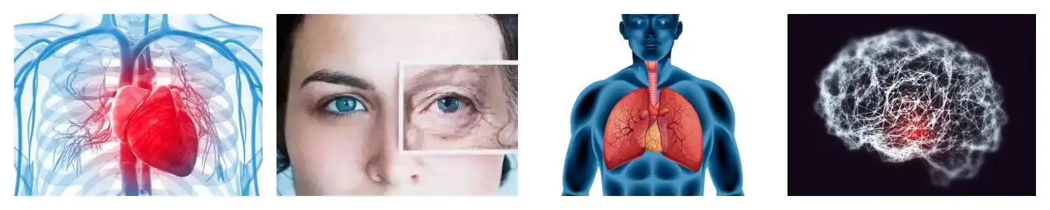 product-1-1 product-1-1