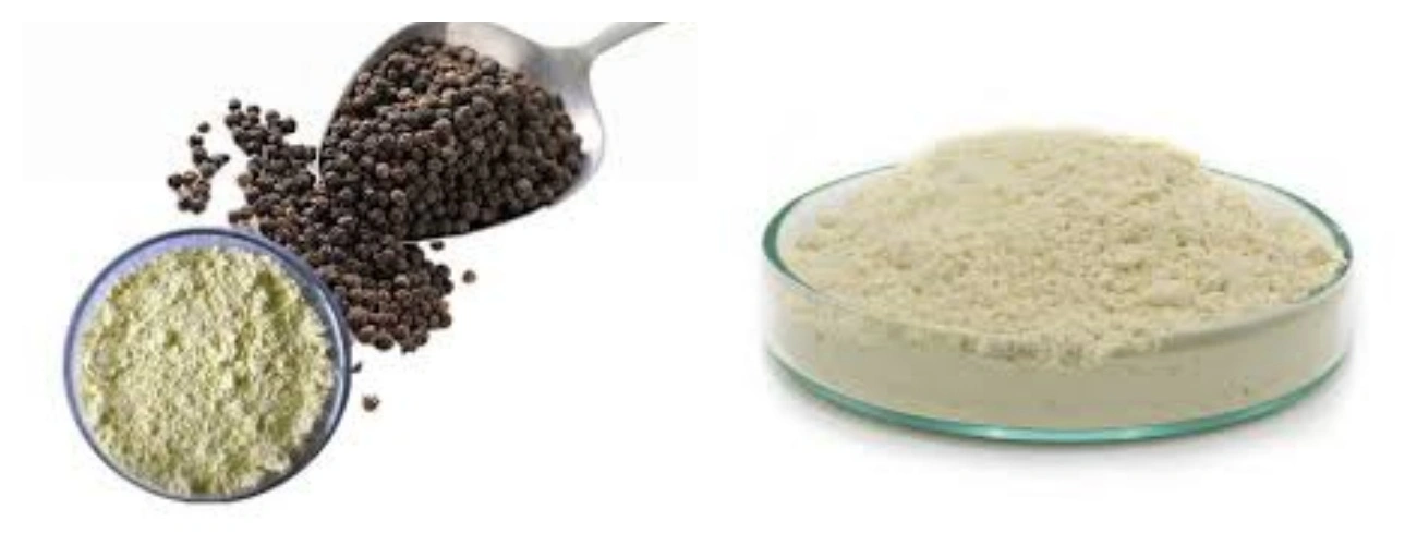 product-1-1 product-1-1