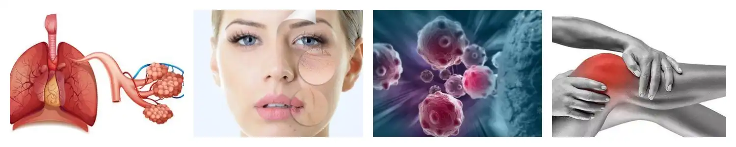 product-1-1 product-1-1